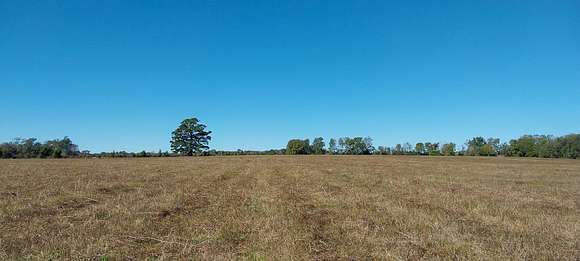 97.84 Acres of Agricultural Land for Sale in Crockett, Texas