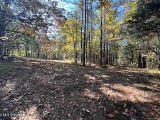 98 Acres of Recreational Land for Sale in Ashland, Mississippi