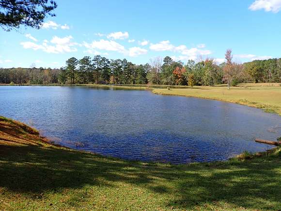 32 Acres of Land for Sale in Vance, Alabama