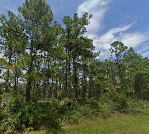 0.23 Acres of Residential Land for Sale in Port Charlotte, Florida