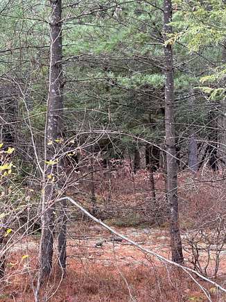 91 Acres of Recreational Land & Farm for Sale in Theresa, New York