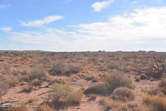 20 Acres of Agricultural Land for Sale in Snowflake, Arizona