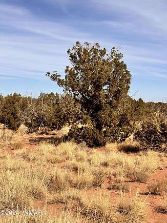 9.99 Acres of Land for Sale in Snowflake, Arizona