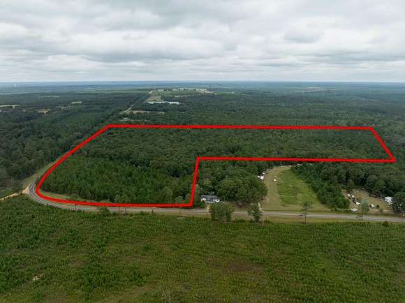 Residential Land for Sale in Ellaville, Georgia