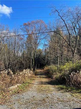 5 Acres of Land for Sale in Springwater, New York