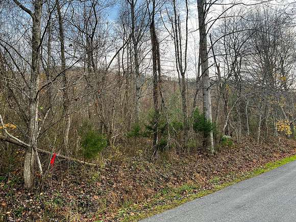 40.87 Acres of Recreational Land for Sale in Bedford, Virginia