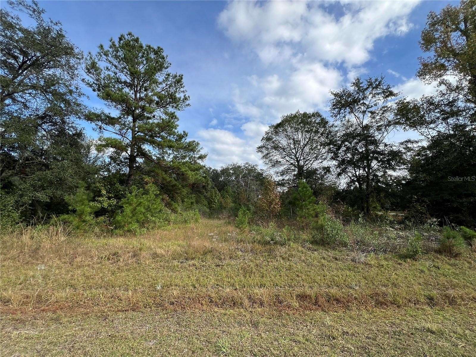 1.1 Acres of Residential Land for Sale in Lake Butler, Florida