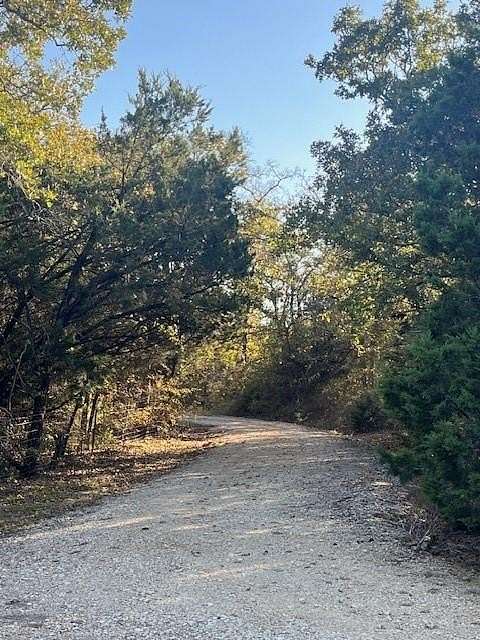 24.12 Acres of Recreational Land for Sale in Blum, Texas