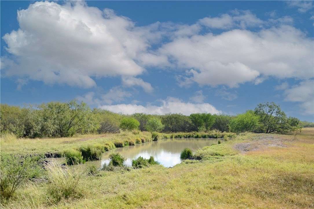 Land for Sale in Orange Grove, Texas