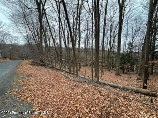 0.35 Acres of Residential Land for Sale in Lake Ariel, Pennsylvania