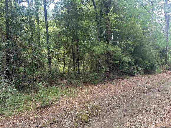 5.64 Acres of Residential Land for Sale in Robert, Louisiana