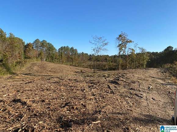 13.34 Acres of Land for Sale in Morris, Alabama