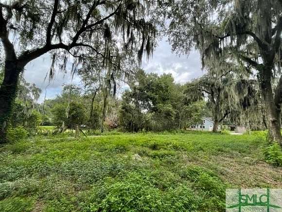 4.18 Acres of Residential Land with Home for Sale in Savannah, Georgia