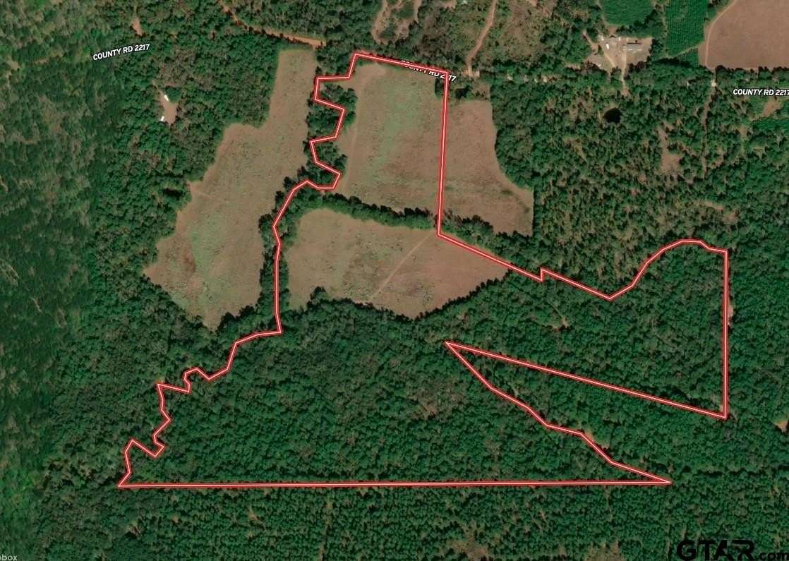 82 Acres of Recreational Land for Sale in Rusk, Texas