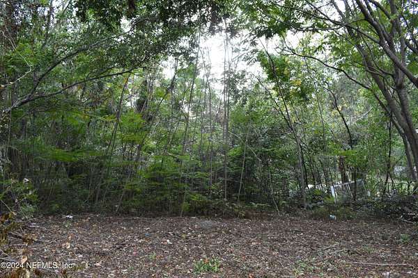 0.16 Acres of Land for Sale in Palatka, Florida