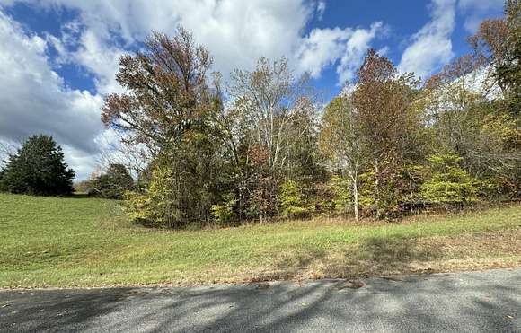 1.01 Acres of Residential Land for Sale in Decatur, Tennessee