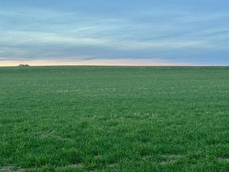 159 Acres of Agricultural Land for Sale in Fort Supply, Oklahoma