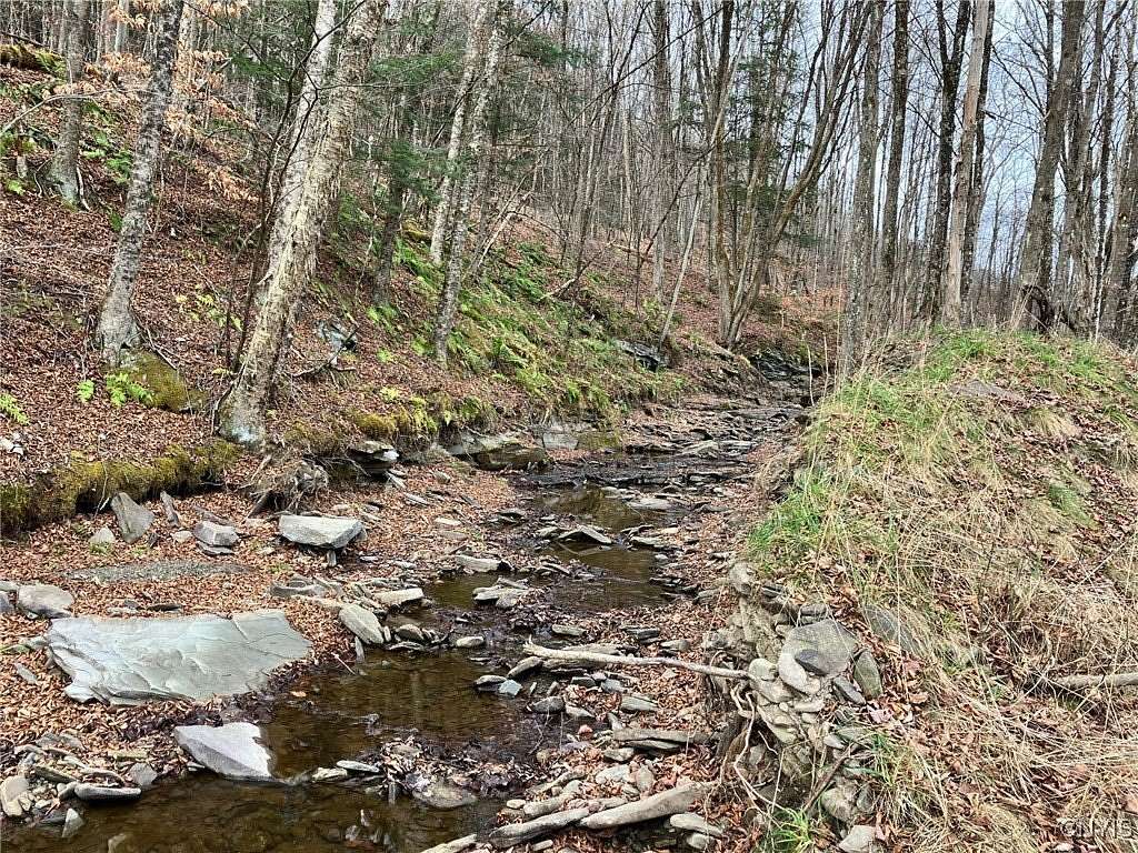 65.77 Acres of Recreational Land for Sale in Sanford, New York