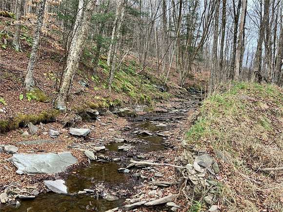 65.77 Acres of Recreational Land for Sale in Sanford, New York