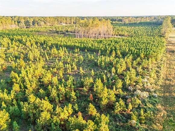 15.69 Acres of Land for Sale in Blackshear, Georgia