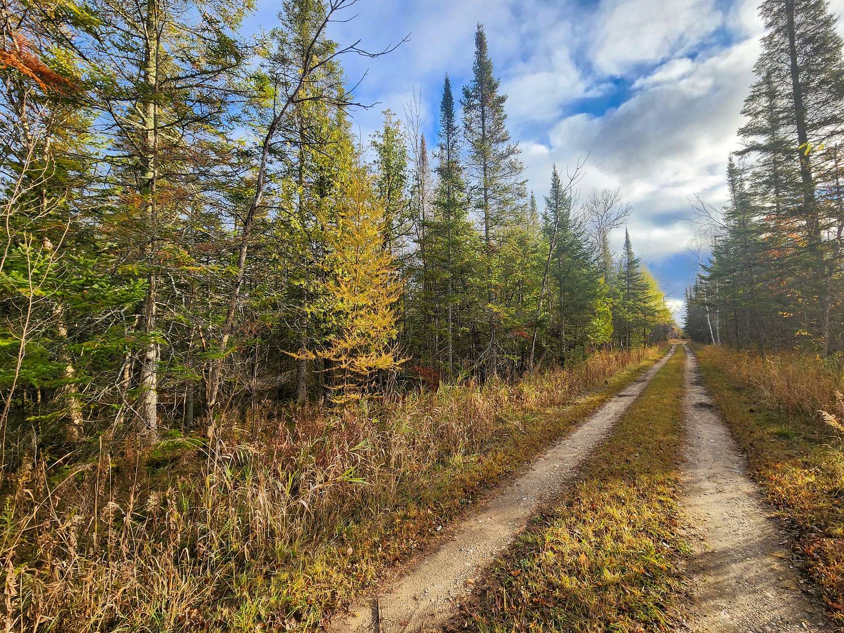 79.3 Acres of Recreational Land for Sale in Cheboygan, Michigan