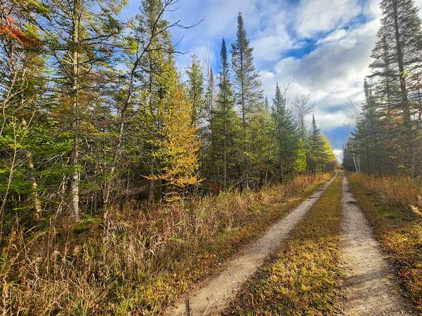 79.3 Acres of Recreational Land for Sale in Cheboygan, Michigan