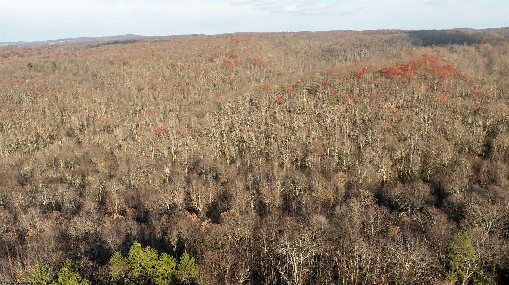 25.1 Acres of Recreational & Residential Land for Sale in Morgantown, West Virginia
