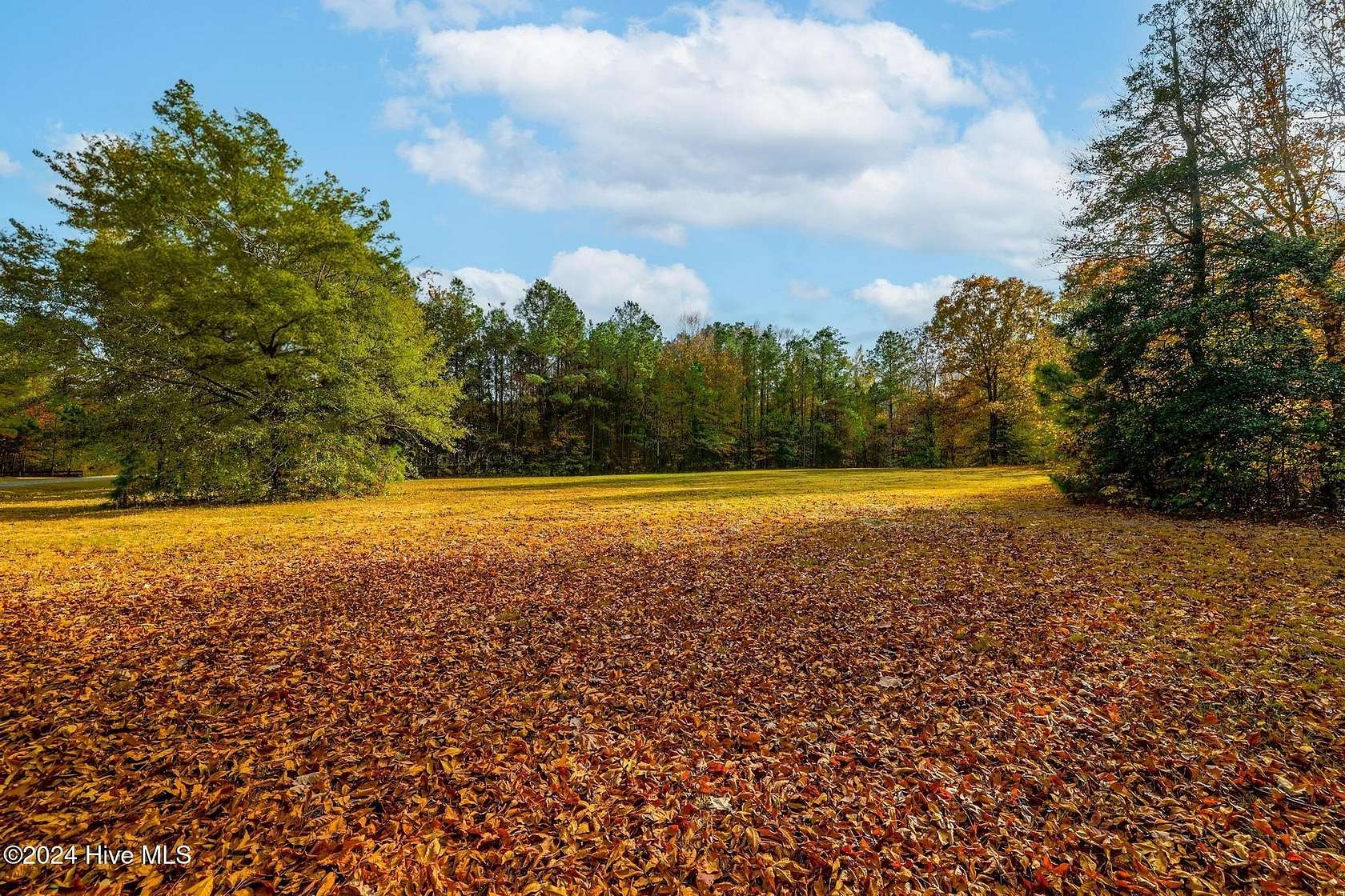 15 Acres of Land for Sale in Camden, North Carolina