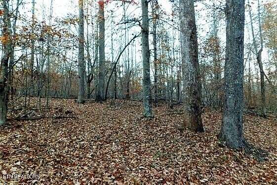 9.34 Acres of Residential Land with Home for Auction in Heiskell, Tennessee