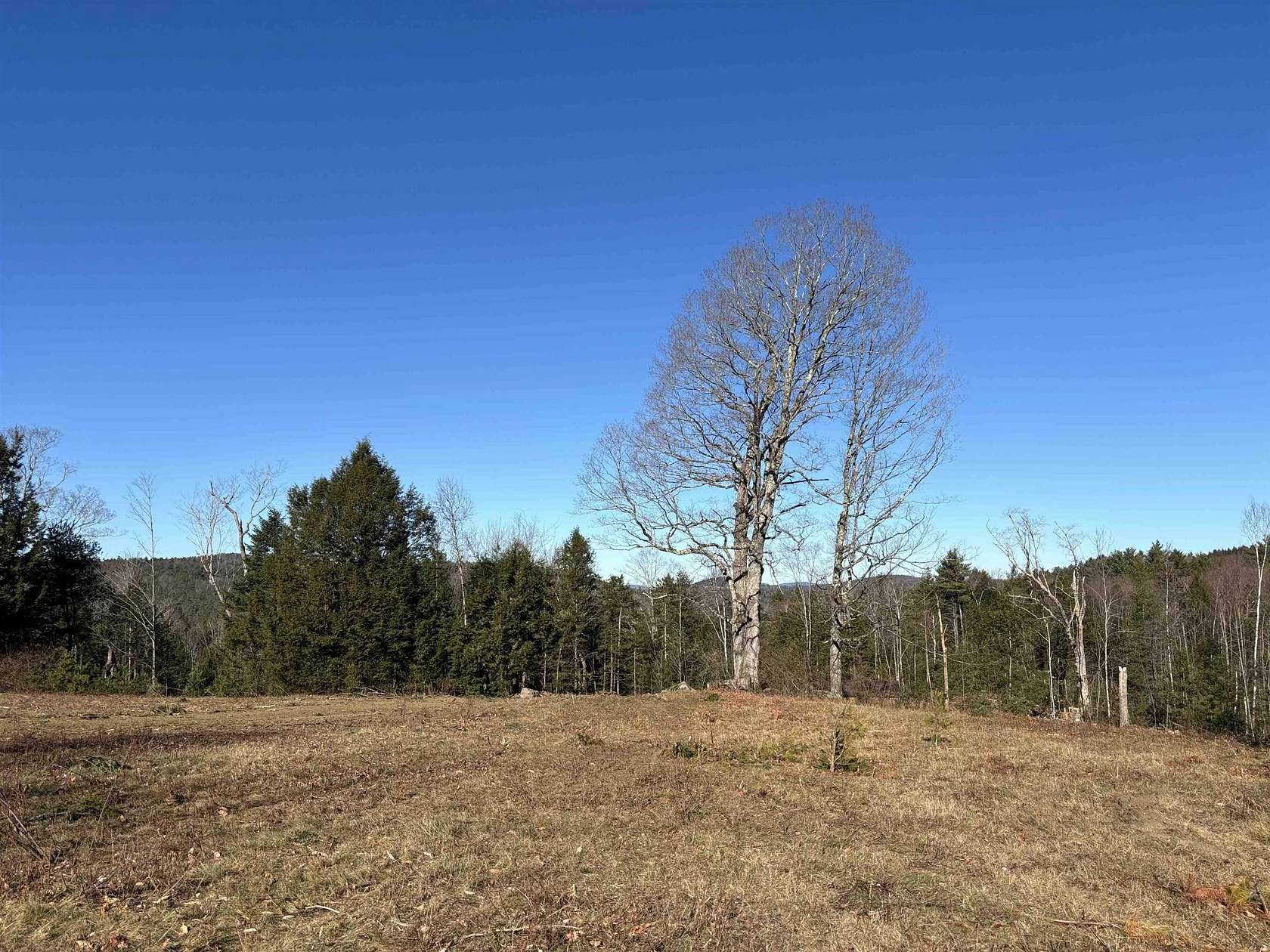 12.16 Acres of Land for Sale in Goshen, New Hampshire