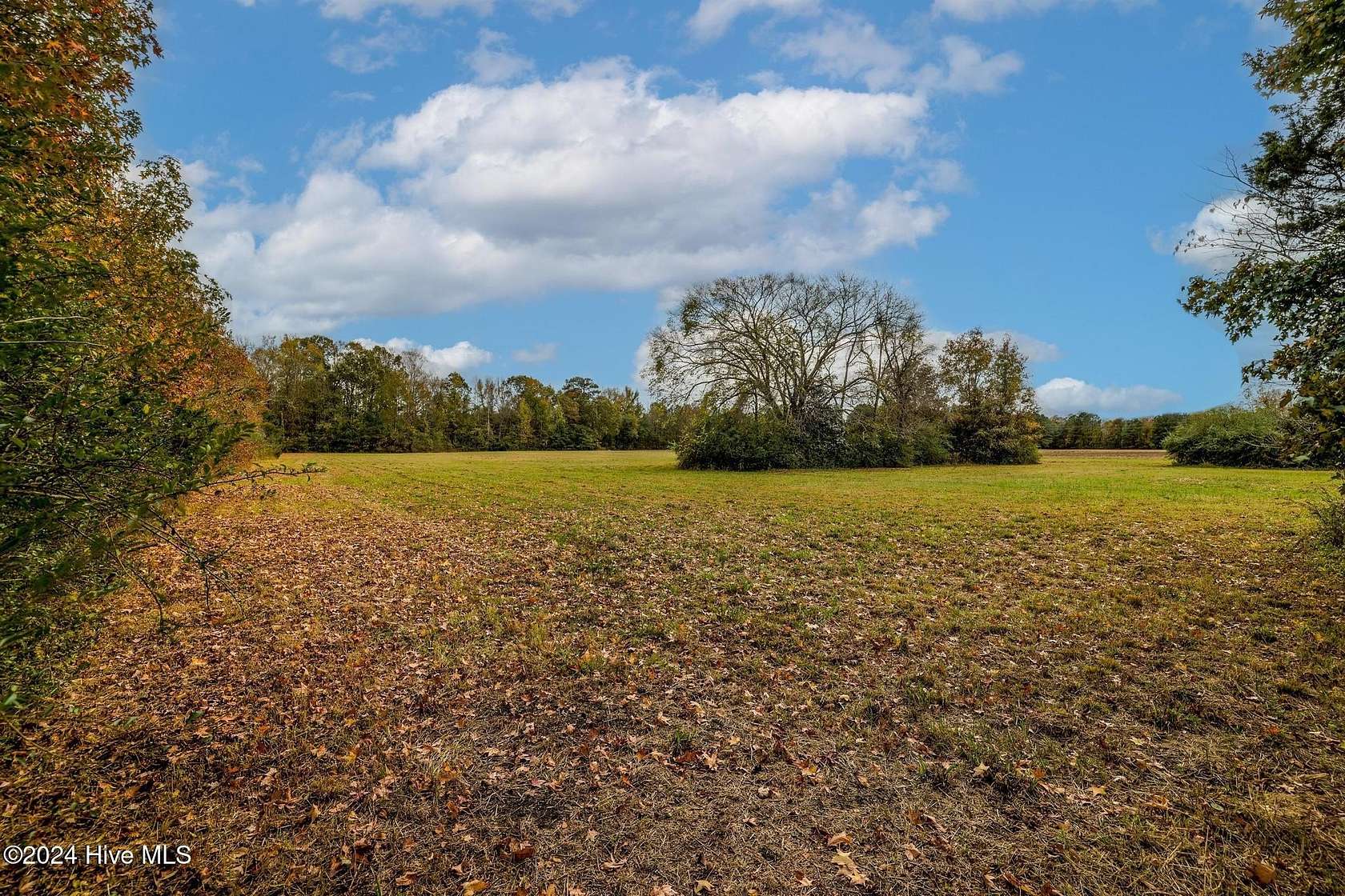 5 Acres of Residential Land for Sale in Camden, North Carolina