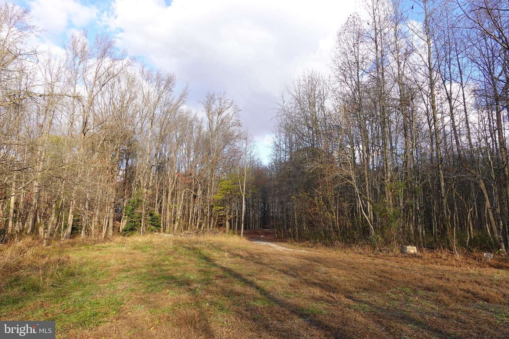 10.37 Acres of Recreational Land for Sale in Townsend, Delaware