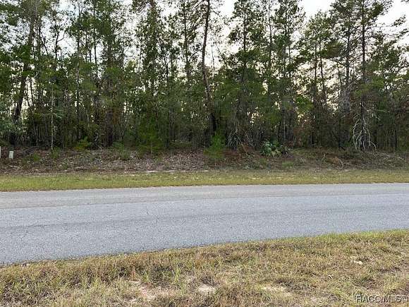 0.34 Acres of Land for Sale in Homosassa, Florida