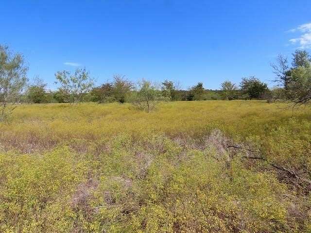 10 Acres of Residential Land for Sale in Argyle, Texas