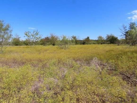 10 Acres of Residential Land for Sale in Argyle, Texas