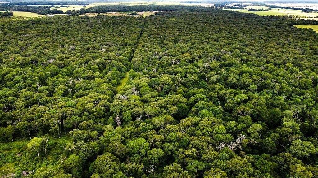 52.17 Acres of Recreational Land for Sale in Athens, Texas