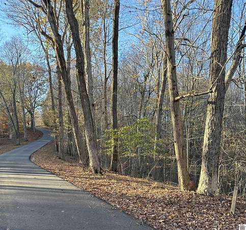 1 Acre of Residential Land for Sale in Eddyville, Kentucky