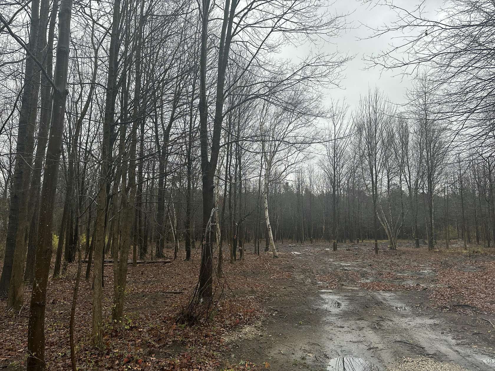 5 Acres of Residential Land for Sale in Fennville, Michigan