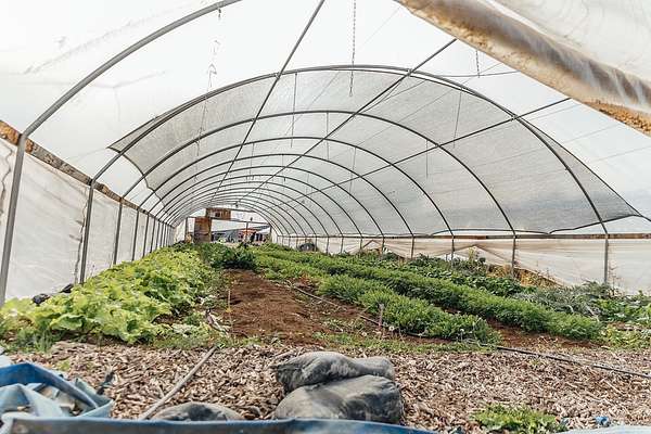 6.87 Acres of Residential Land with Home for Sale in Palisade, Colorado