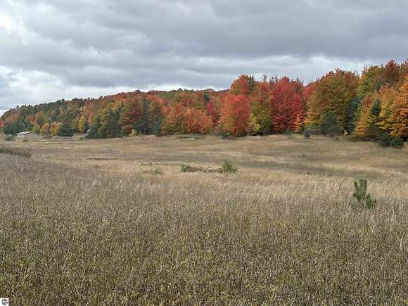 40 Acres of Land for Sale in Lake Leelanau, Michigan