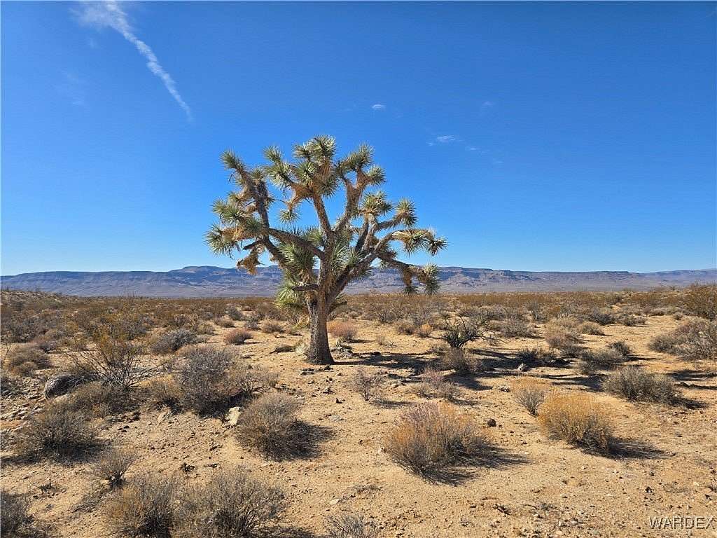 2.35 Acres of Residential Land for Sale in Yucca, Arizona