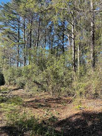 2.69 Acres of Residential Land for Sale in Haleyville, Alabama