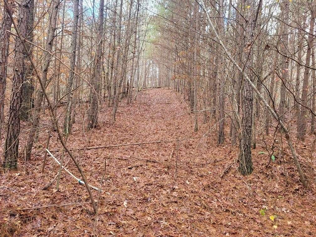 18.22 Acres of Land for Sale in Ellijay, Georgia