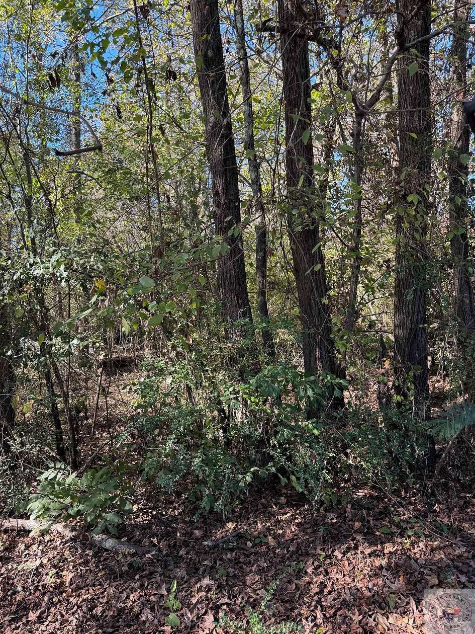 0.27 Acres of Land for Sale in Texarkana, Texas