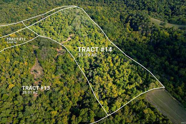 31.2 Acres of Land for Sale in Patriot, Indiana
