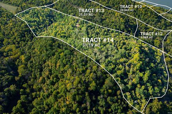 31.2 Acres of Land for Sale in Patriot, Indiana
