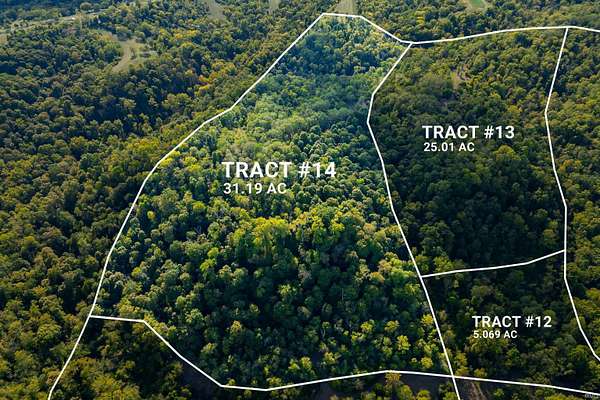 31.2 Acres of Land for Sale in Patriot, Indiana