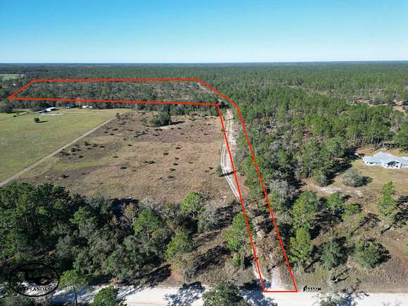 41 Acres of Recreational Land & Farm for Sale in Williston Highlands, Florida