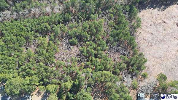 4 Acres of Residential Land for Sale in Florence, South Carolina