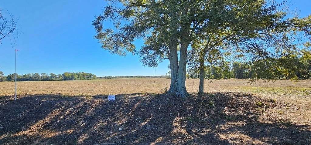 6.35 Acres of Residential Land for Sale in Slocomb, Alabama